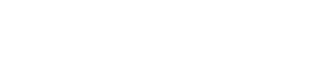 Berachain logo